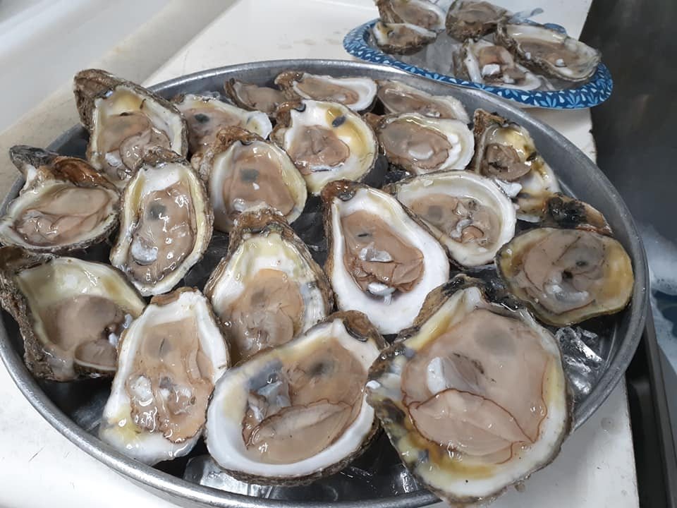 Frankies Rawbar Catering Oysters